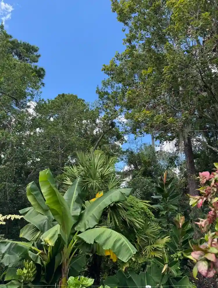 Room for rent- TWO MILES FROM UCF