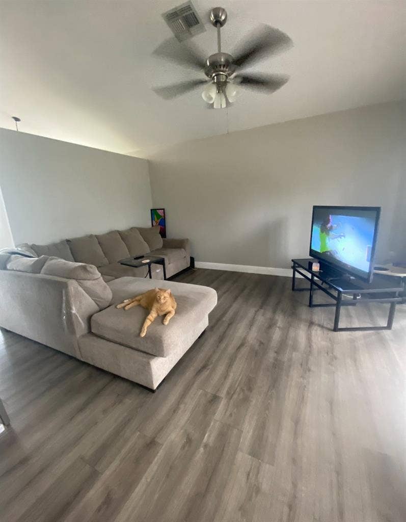 In search of roommates!