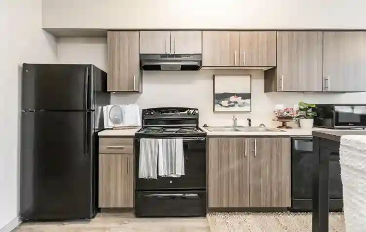 Sublease needed at Vista apartments