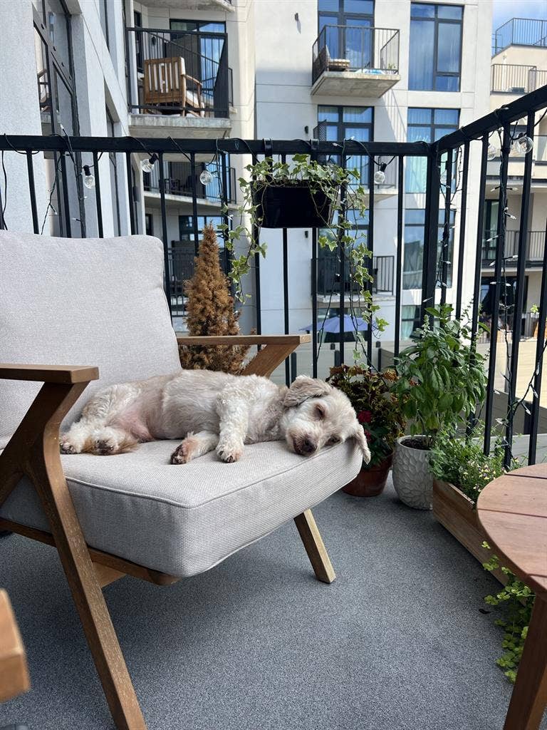 One bedroom with balcony!