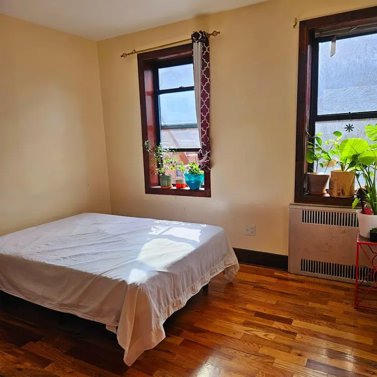 2 Sunny Rooms in Brooklyn