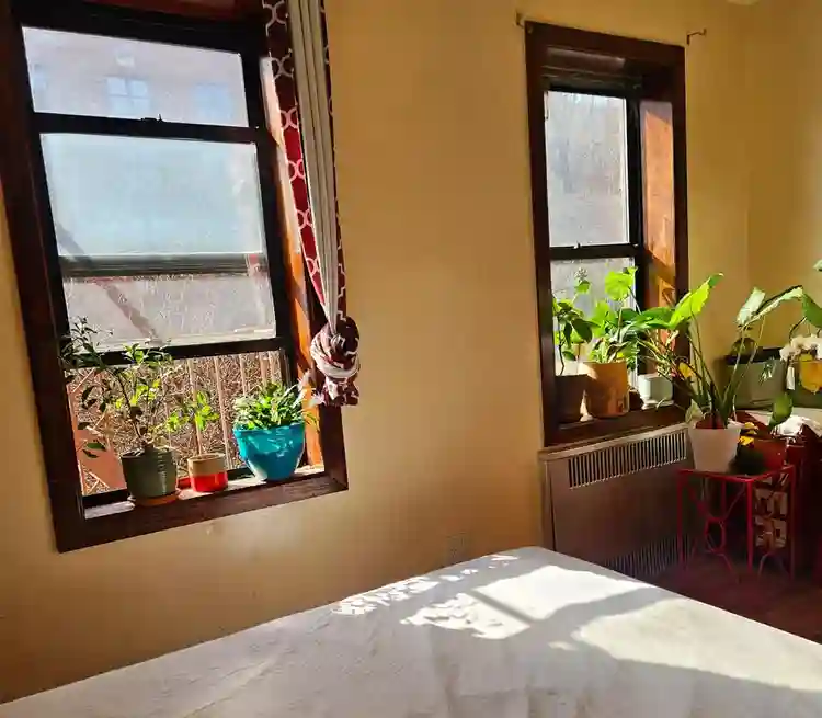 2 Sunny Rooms in Brooklyn