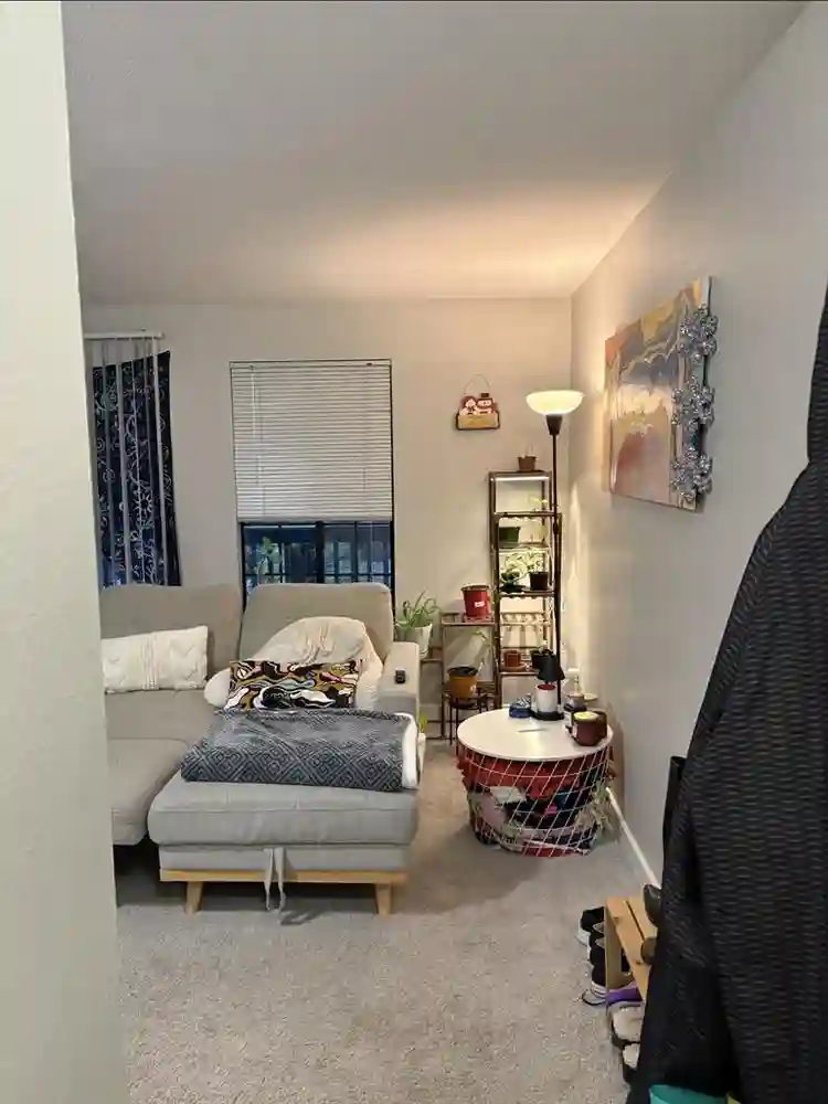 Looking for a roommate in Bellevue