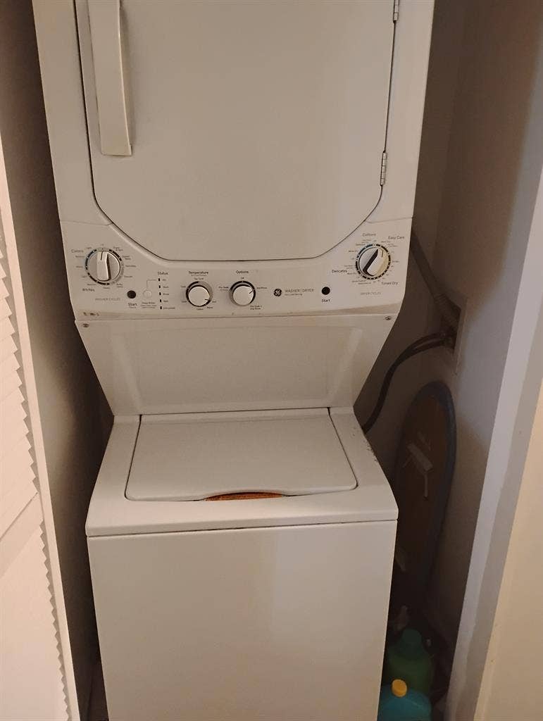 Nice neat female who is single