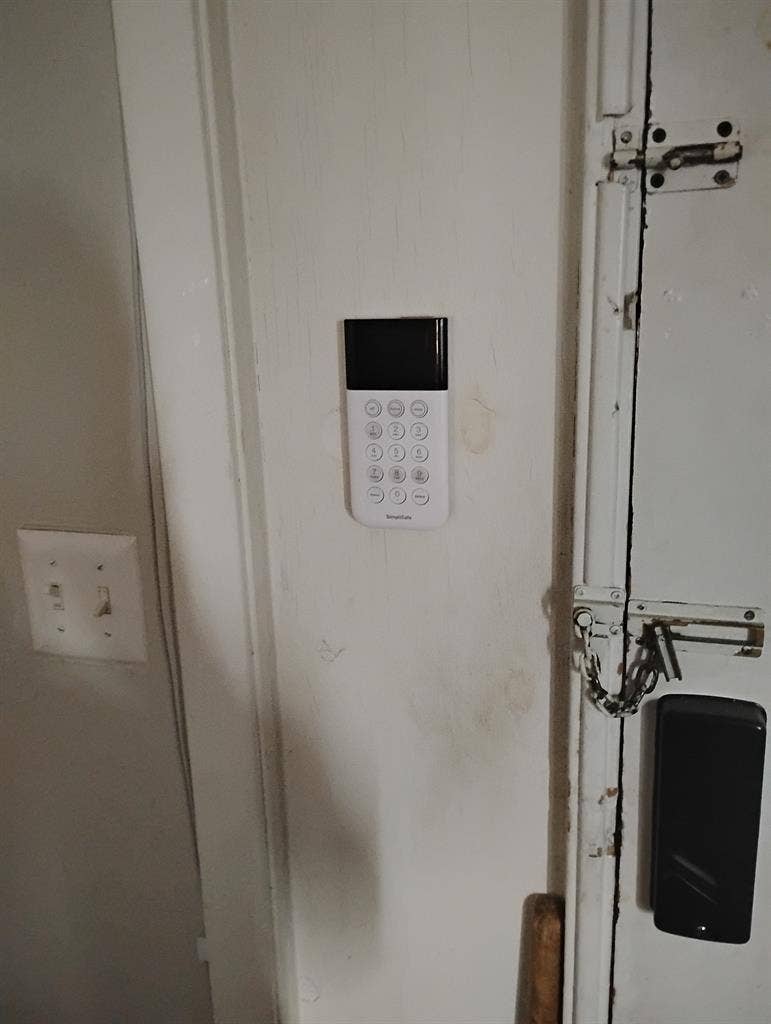 Nice neat female who is single