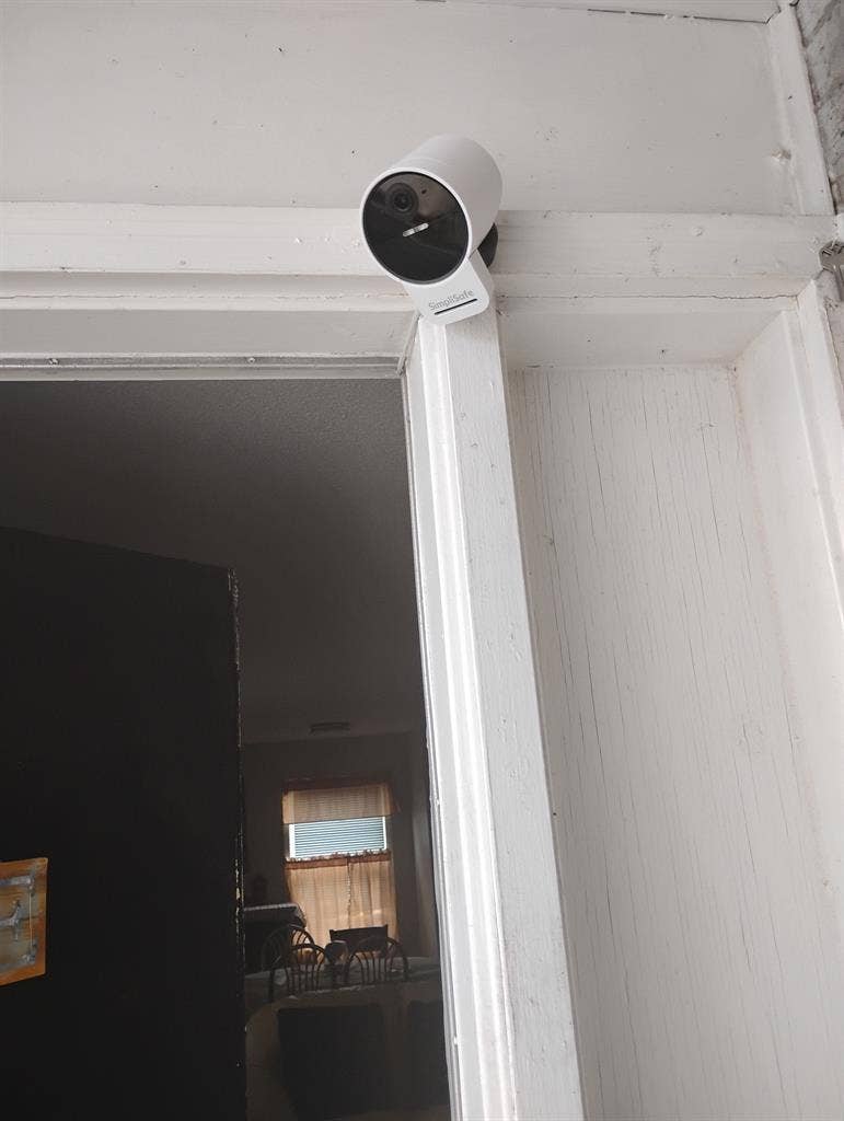 Nice neat female who is single