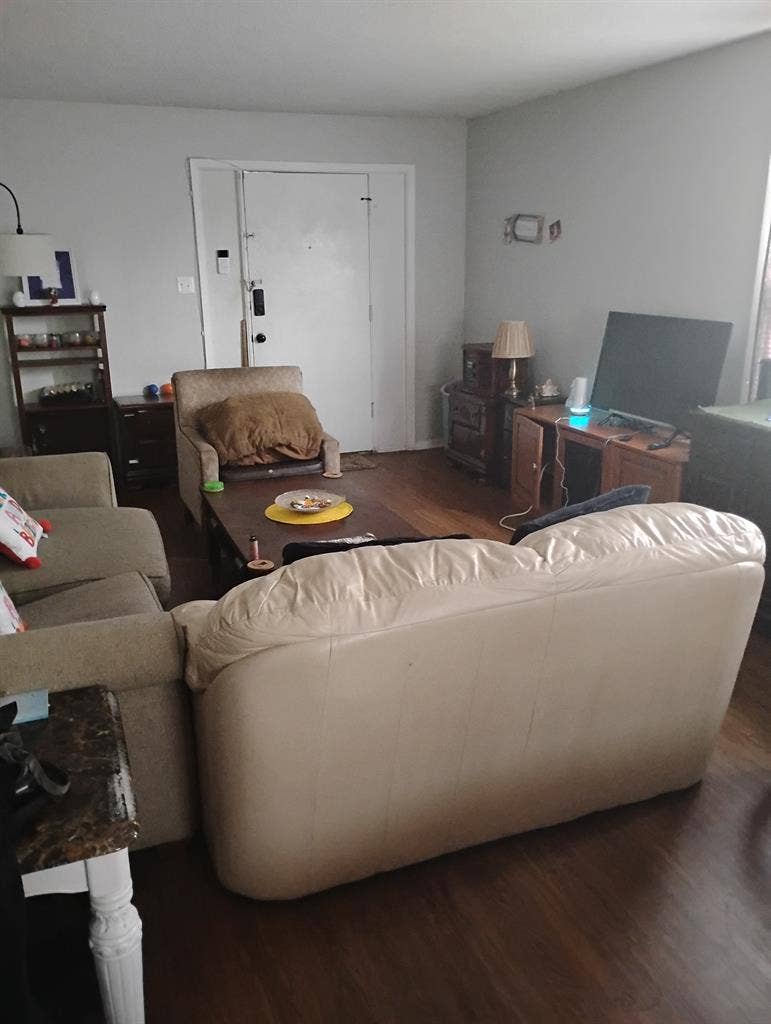 Nice neat female who is single