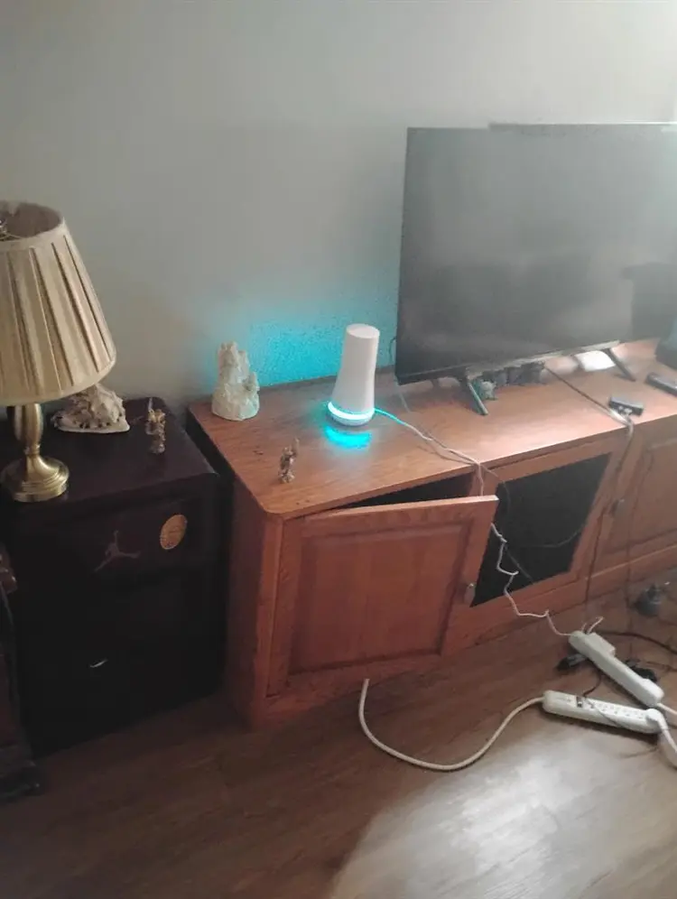 Nice neat female who is single