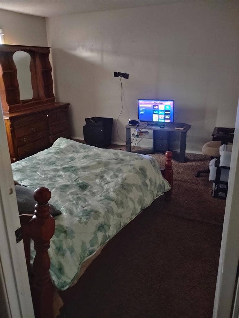 Nice neat female who is single