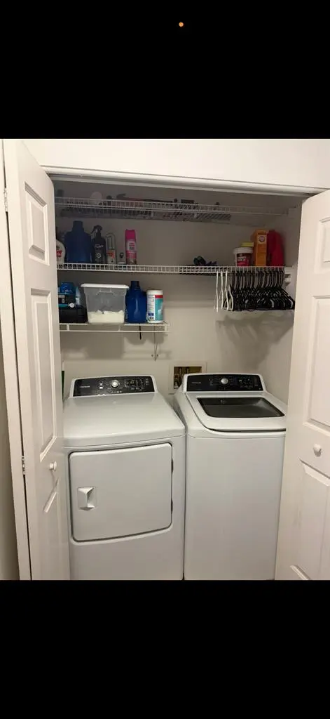Roommate needed!