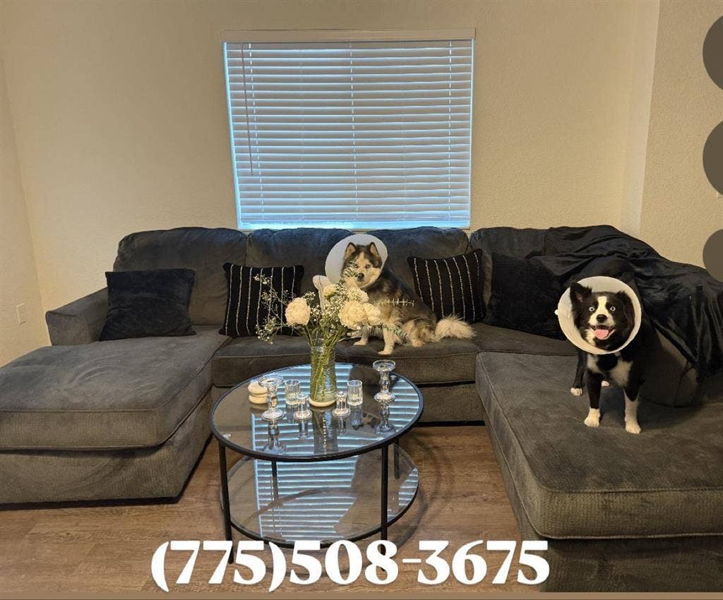 Looking for Roommate