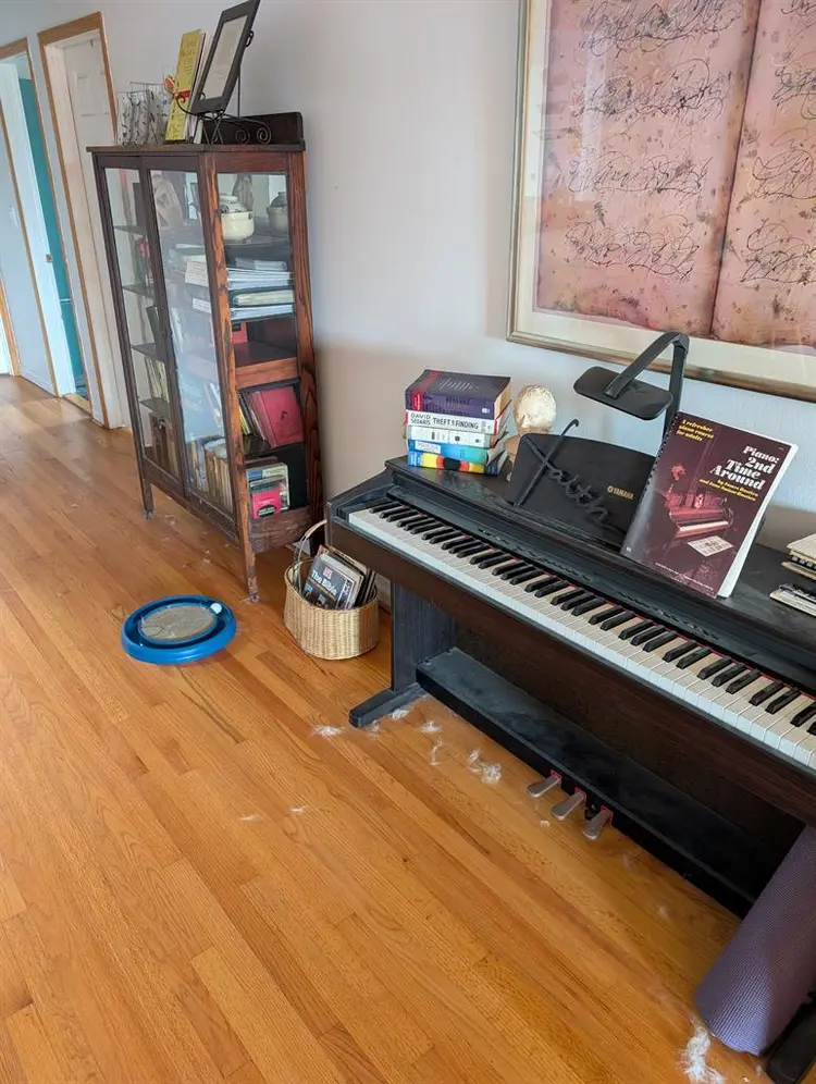 beautiful 3br condo, live in owner