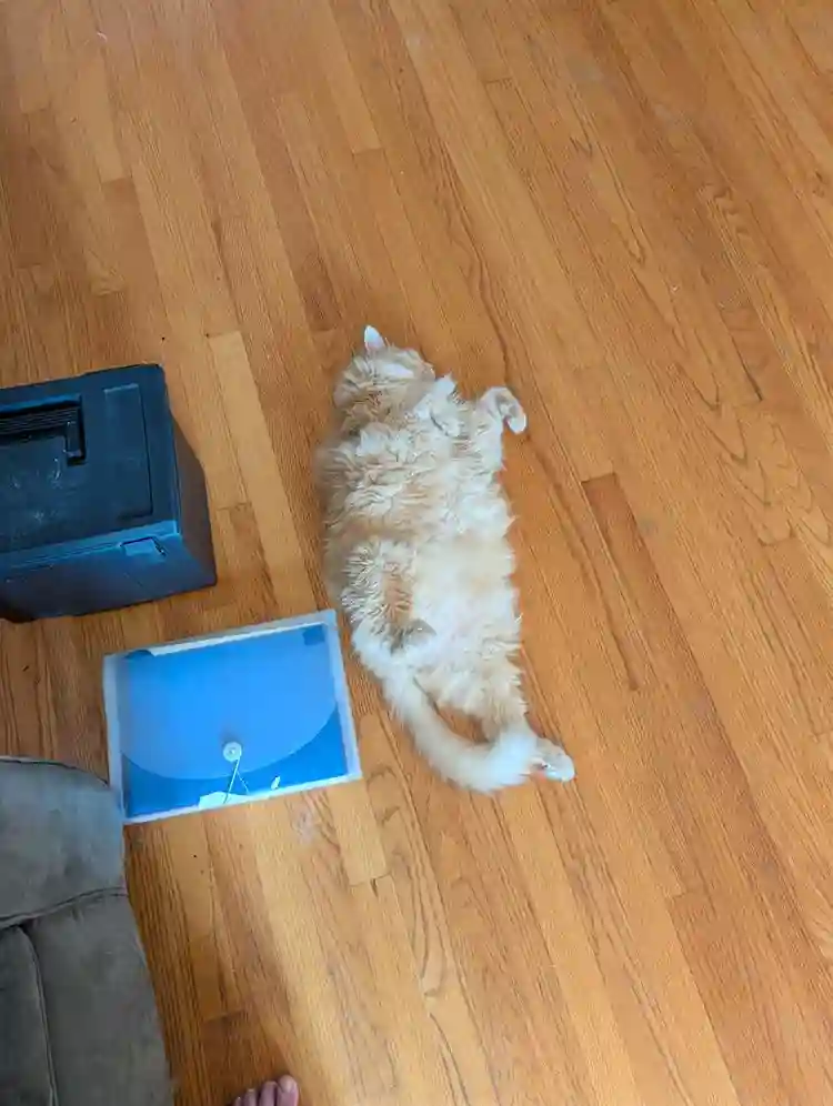 beautiful 3br condo, live in owner