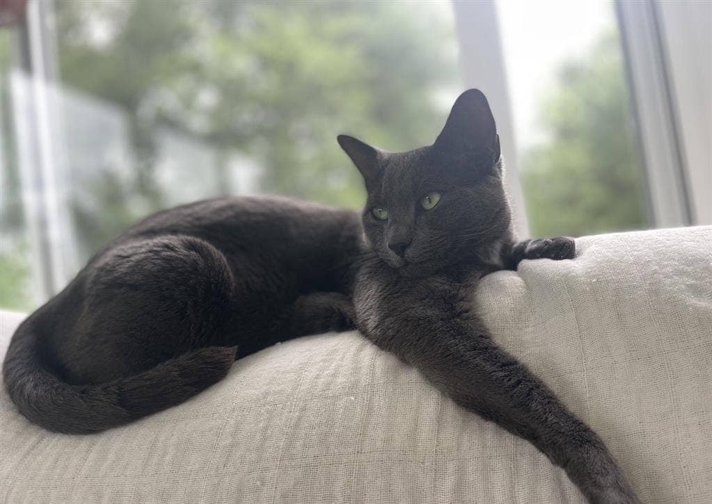 Beautiful room in New Hope w/study