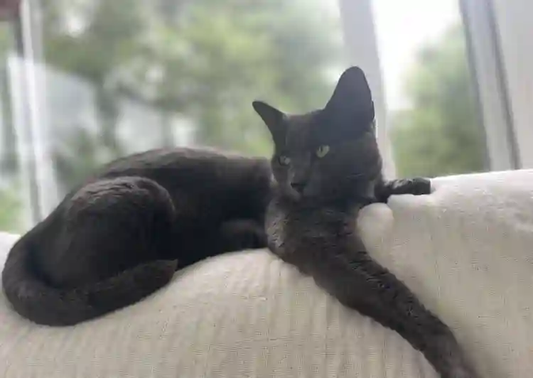 Beautiful room in New Hope w/study