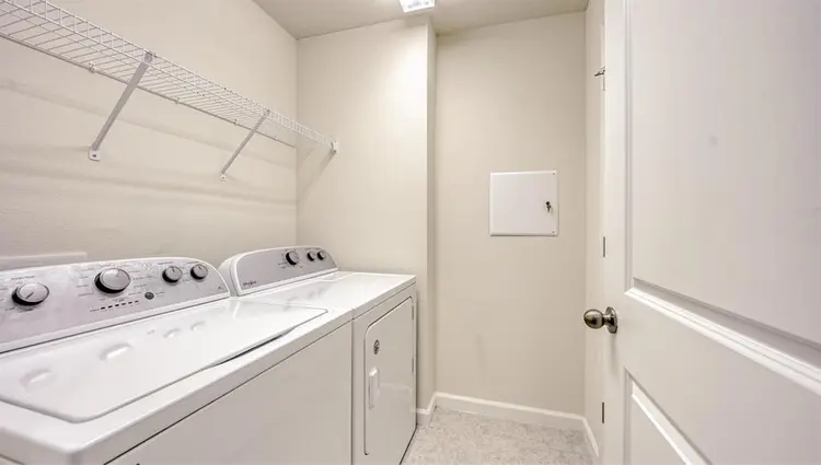 Roommate needed ASAP