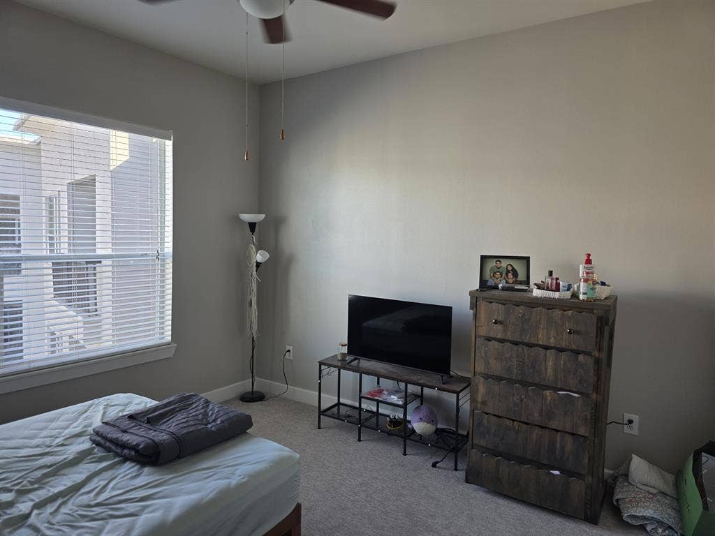 1 bedroom in a luxury apartment