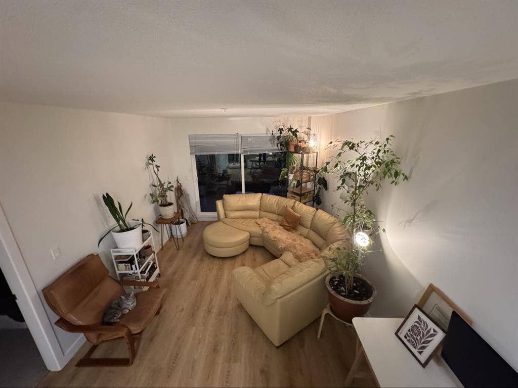 Cozy home in EastVan close 2 hikes