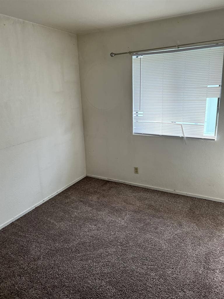 Roommate wanted in Eureka