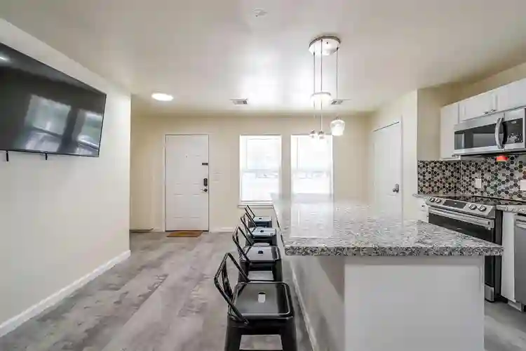 1 BR in Houston