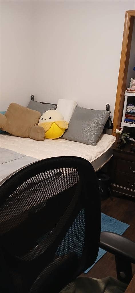 Spring sublease for female