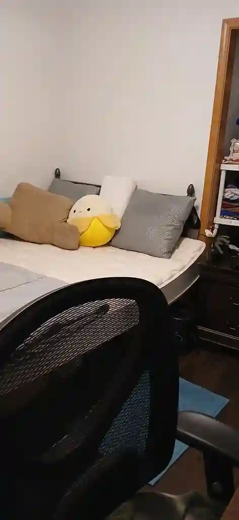 Spring sublease for female