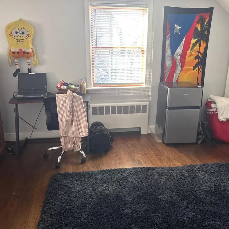 Lookin for a peaceful roommate