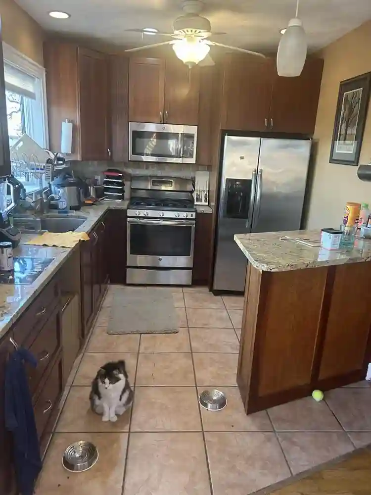 Share a house in Lynn