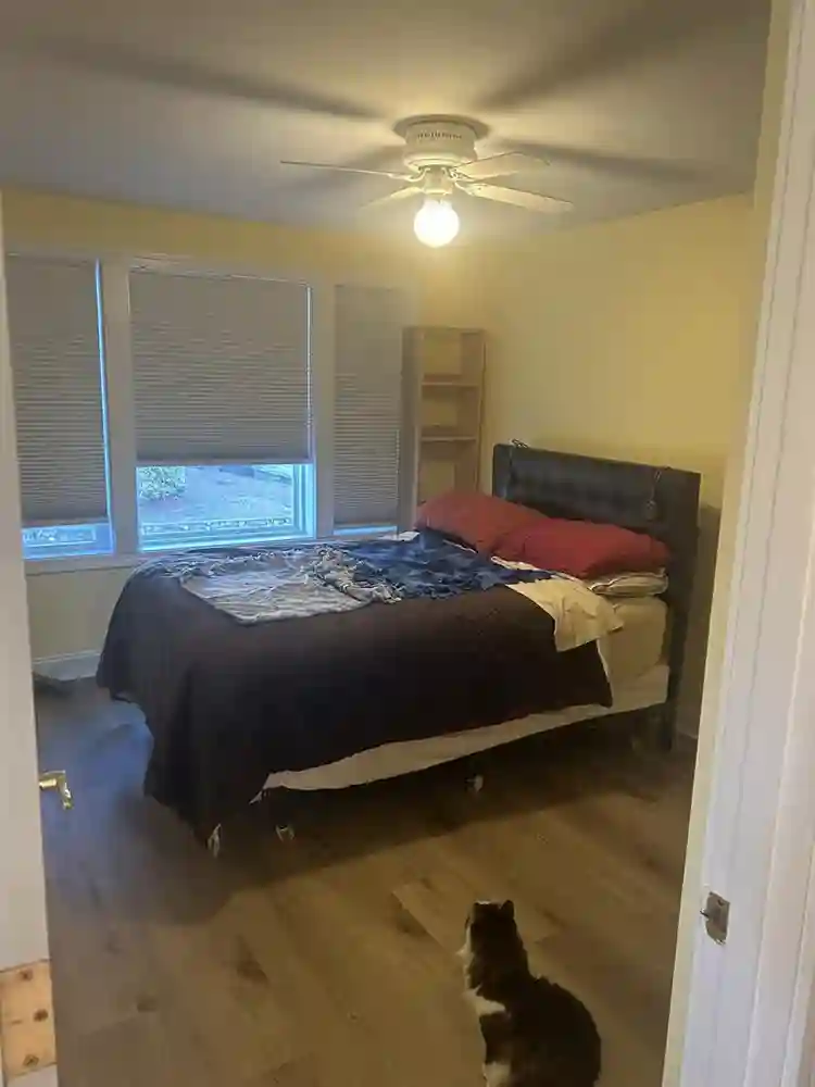 Share a house in Lynn