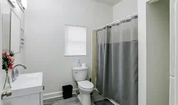 5 BR in Tampa