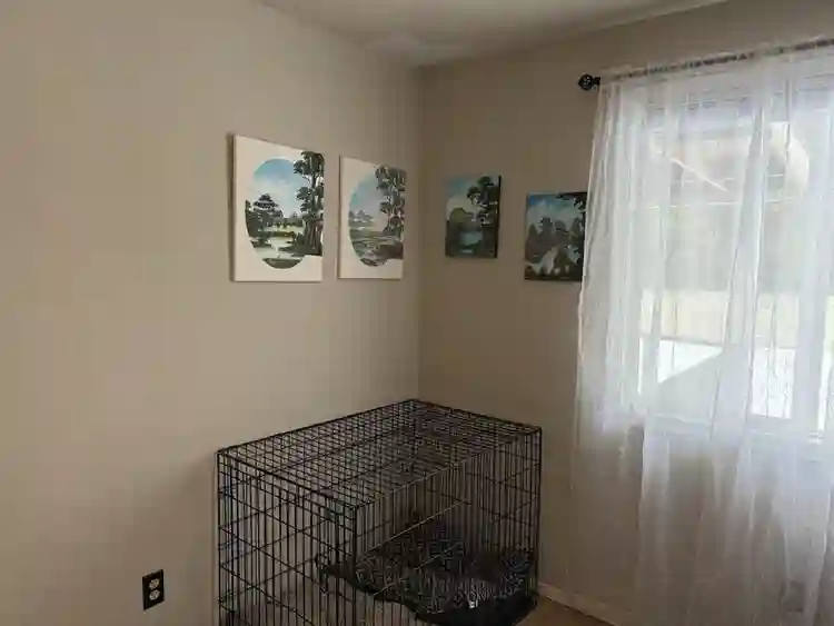 Room for Rent in 3-Bedroom House!