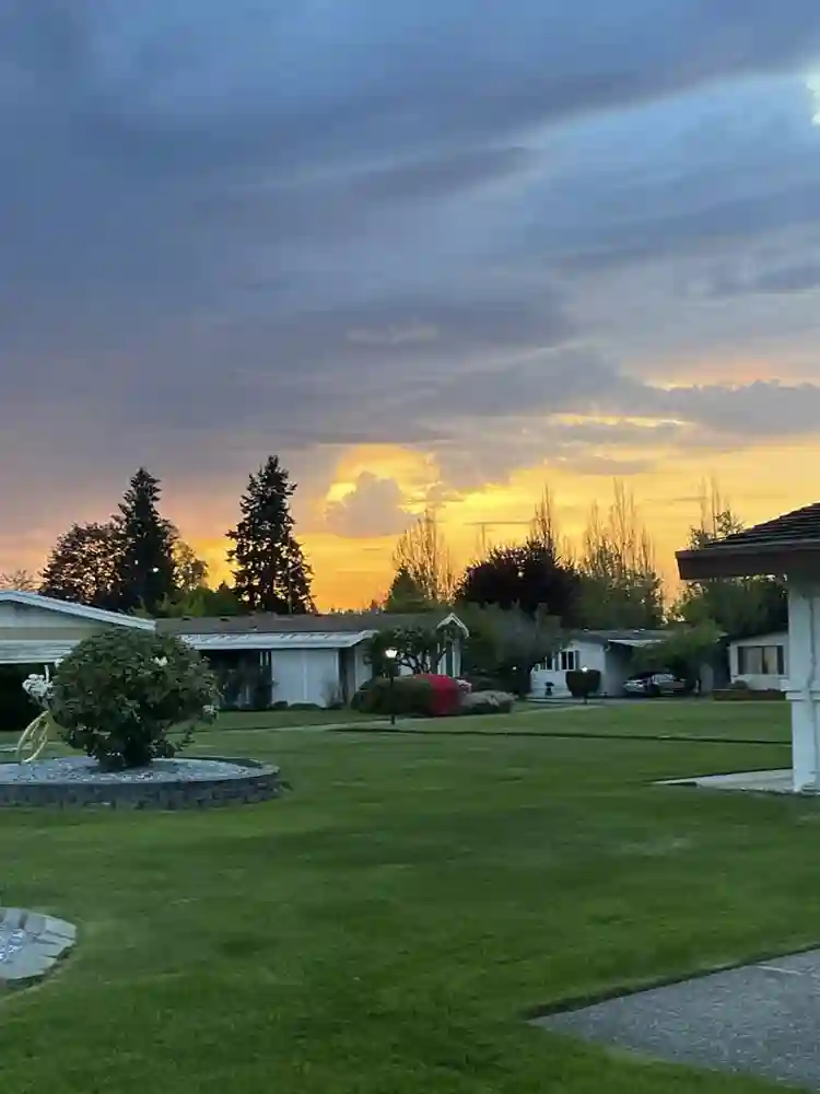 Female Housemate Wntd yr +