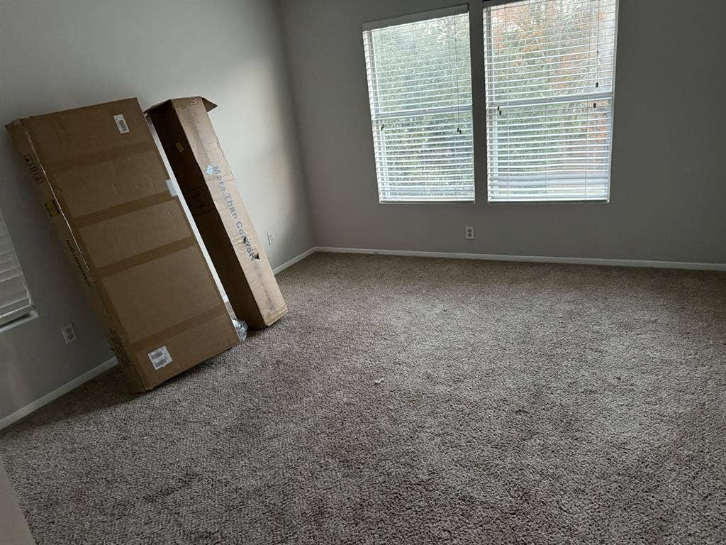 Looking for a roommate