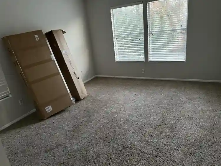 Looking for a roommate