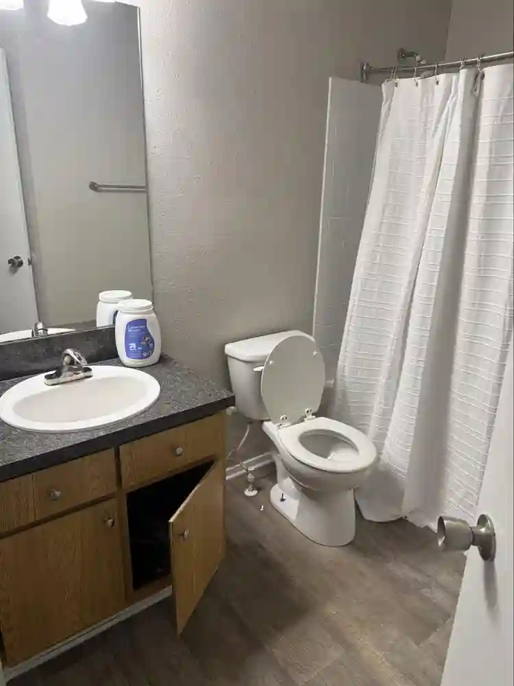 Looking for a roommate