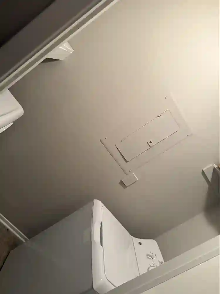 Looking for a roommate