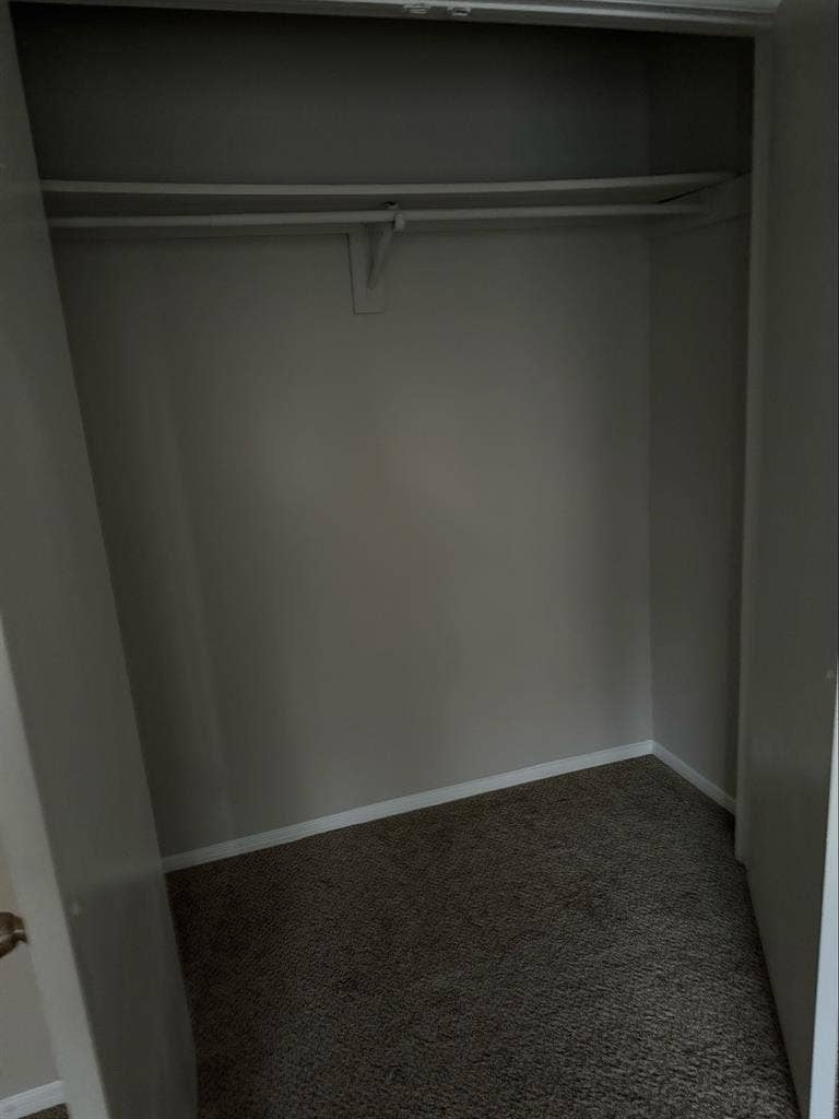 Looking for a roommate