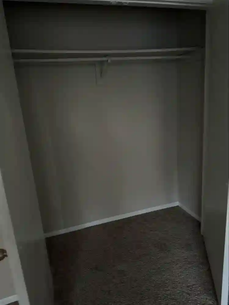 Looking for a roommate