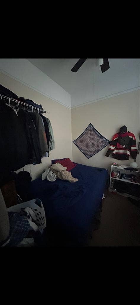 New roommate needed for January