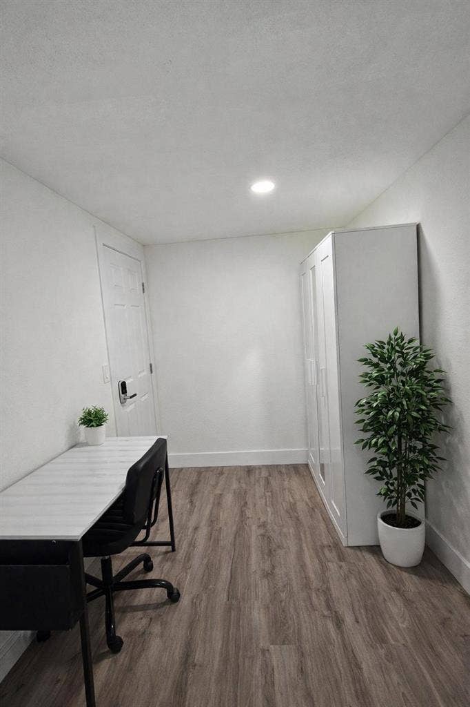 6 BR in Tampa