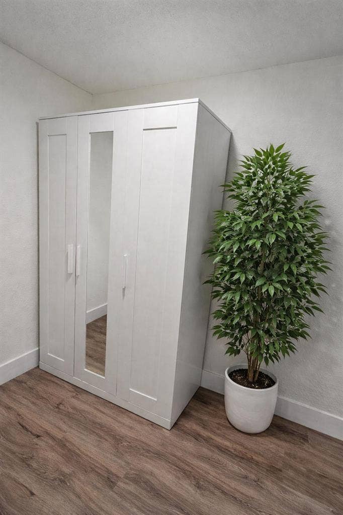6 BR in Tampa