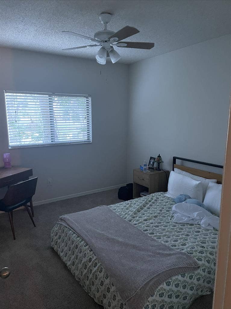 Looking for short-term roommate