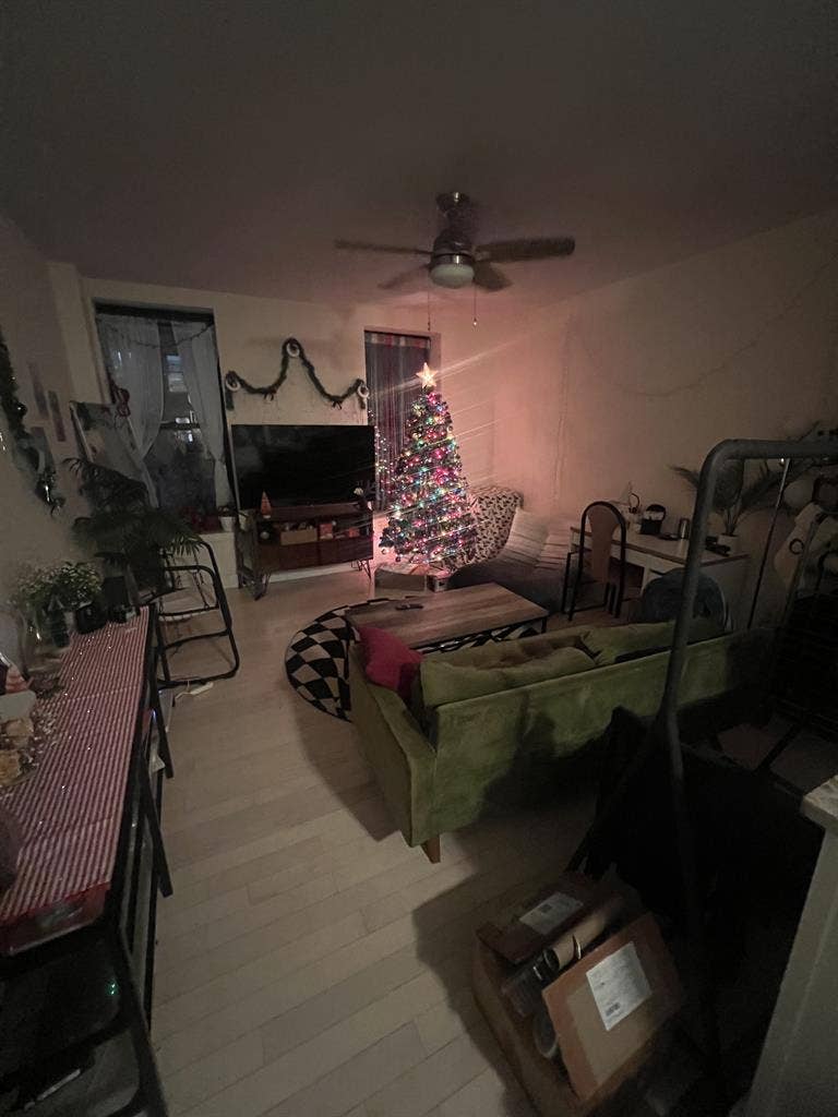 LARGE ROOM NYC temporary stay