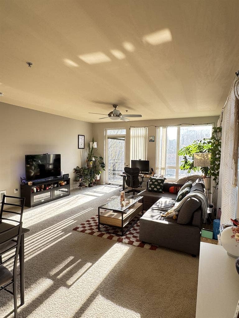 Spacious apt for sublease