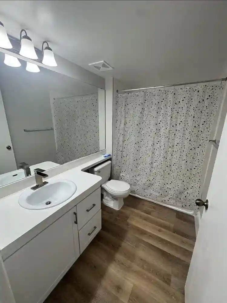 Looking for a roommate to move in