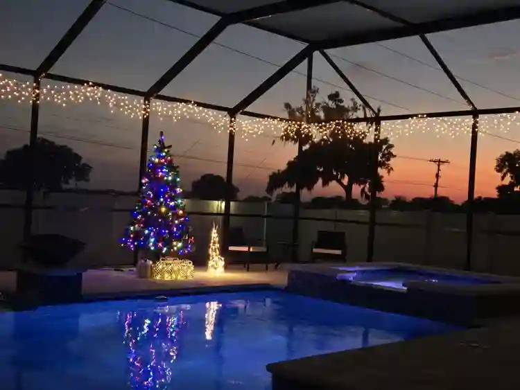 A little Paradise found at home