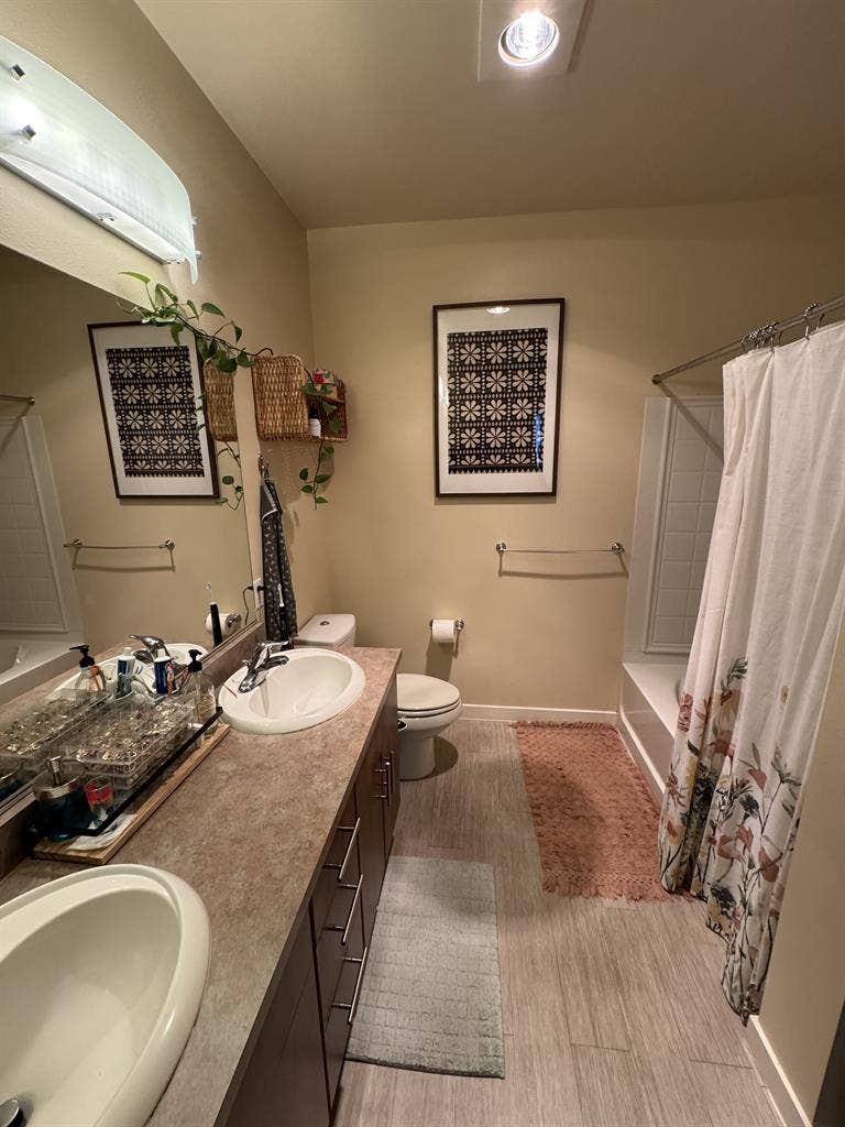 Spacious Apt Sublease