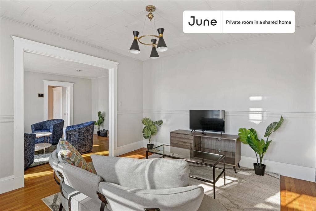 5 BR in Boston