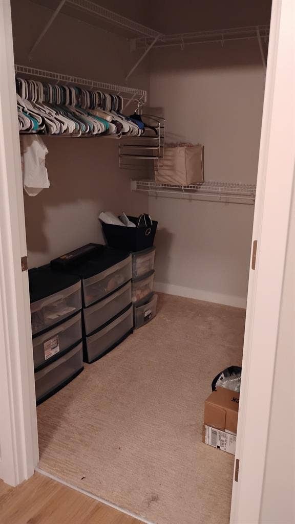 Female Roommate wanted