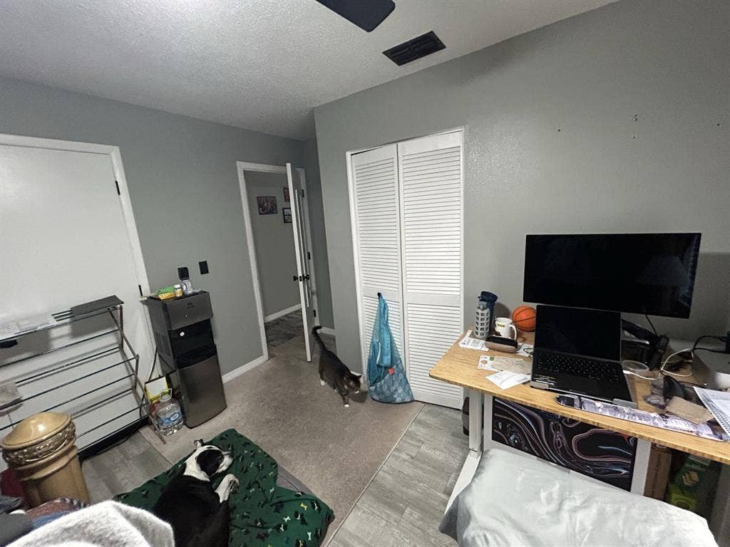 Monthly Flat fee - roommates wanted
